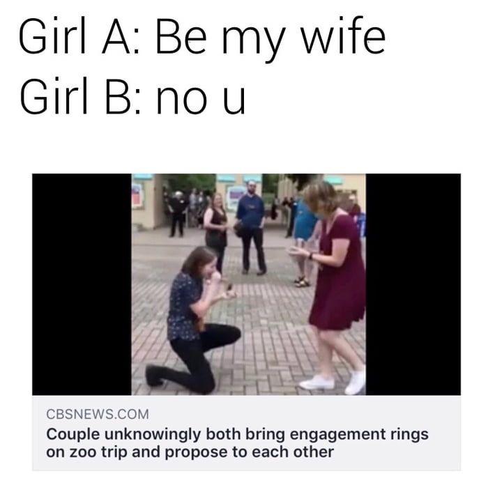 lgbt memes - Girl A Be my wife Girl B nou M Cbsnews.Com Couple unknowingly both bring engagement rings on zoo trip and propose to each other