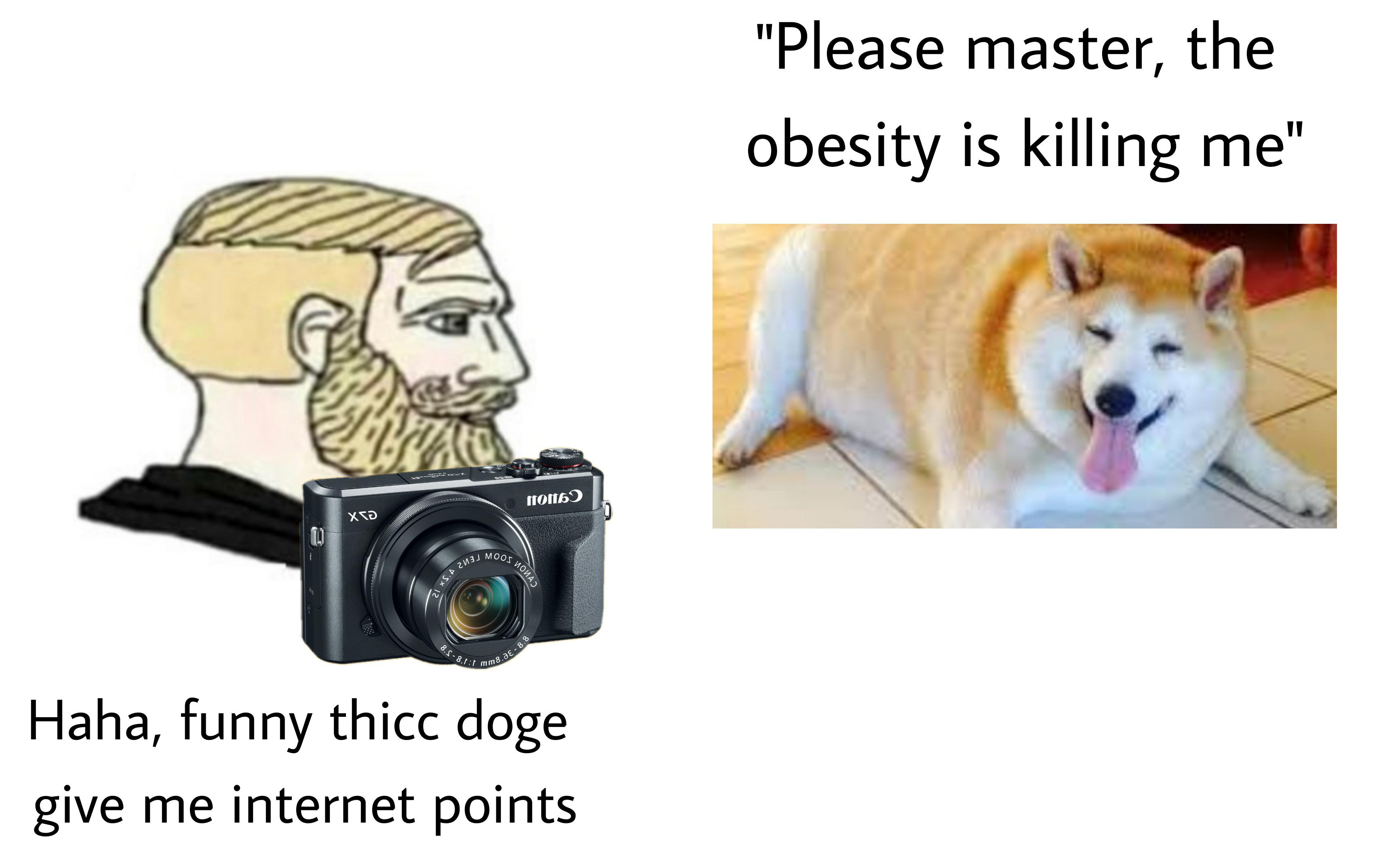 dog - Mm8. a E 8.8 "Please master, the obesity is killing me notto Xd 0 D Moos , , 21 xS.A Zug 8.58. Haha, funny thicc doge give me internet points