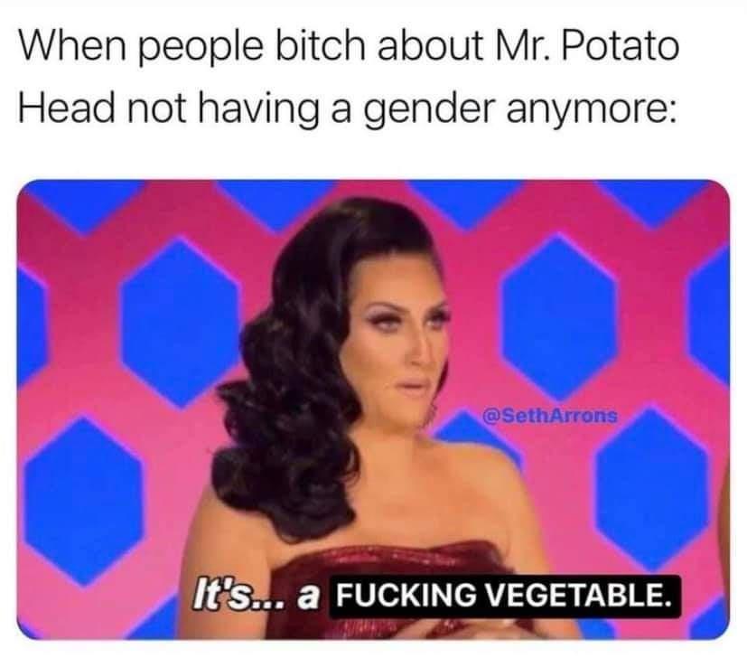 it's a piece of fabric mask meme - When people bitch about Mr. Potato Head not having a gender anymore It's... a Fucking Vegetable.