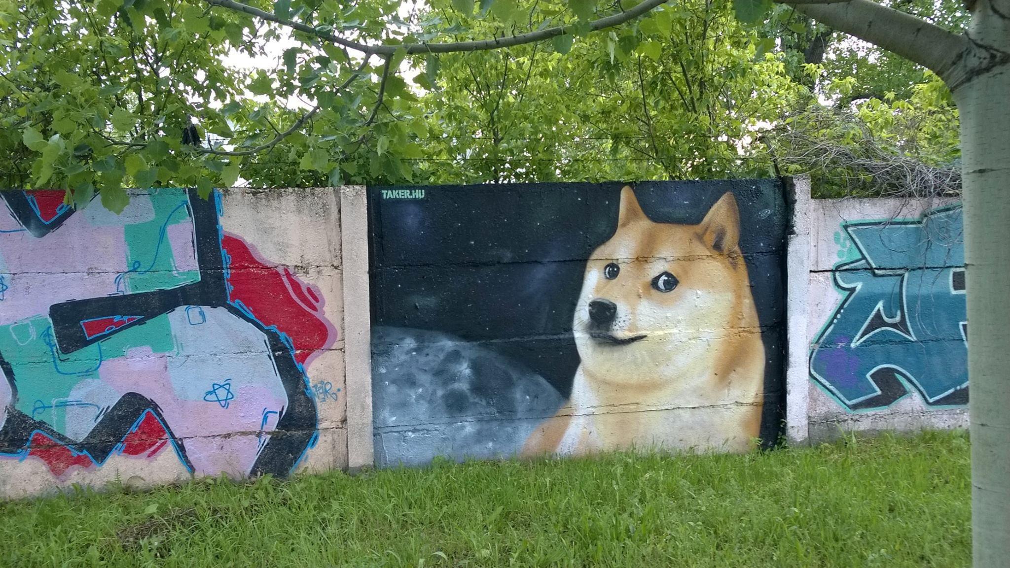 doge graffiti - Airl