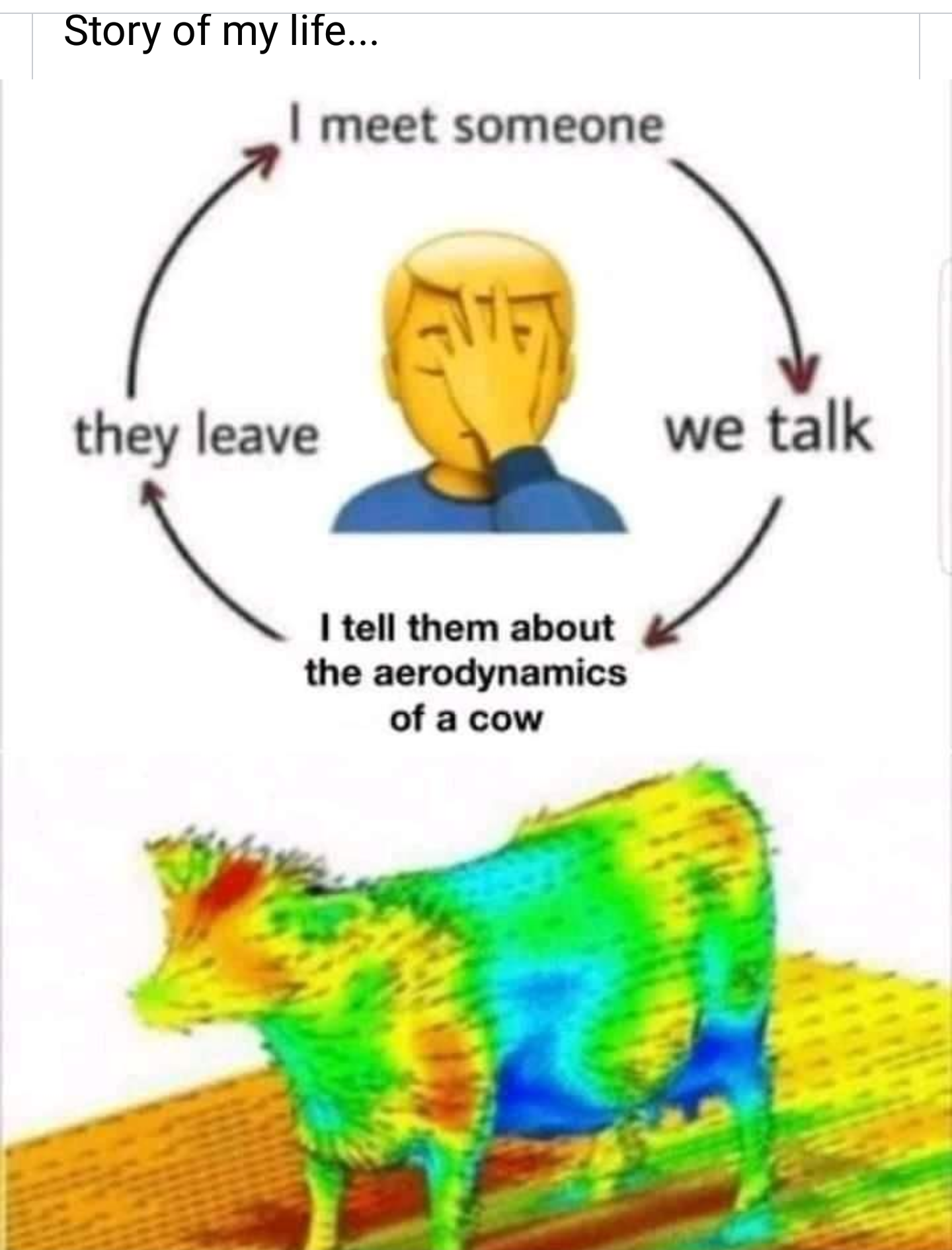 aerodynamics of a cow - Story of my life... I meet someone they leave we talk I tell them about the aerodynamics of a cow