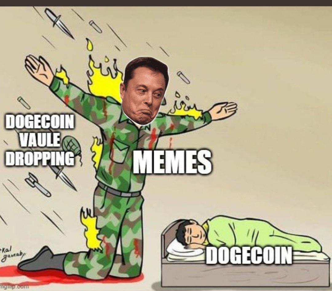 bayonetta knowing what sex - Dogecoin Vaule Dropping Memes kal garrab Dogecoin gip.com