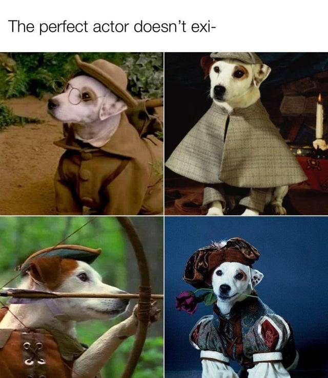 wishbone meme - The perfect actor doesn't exi
