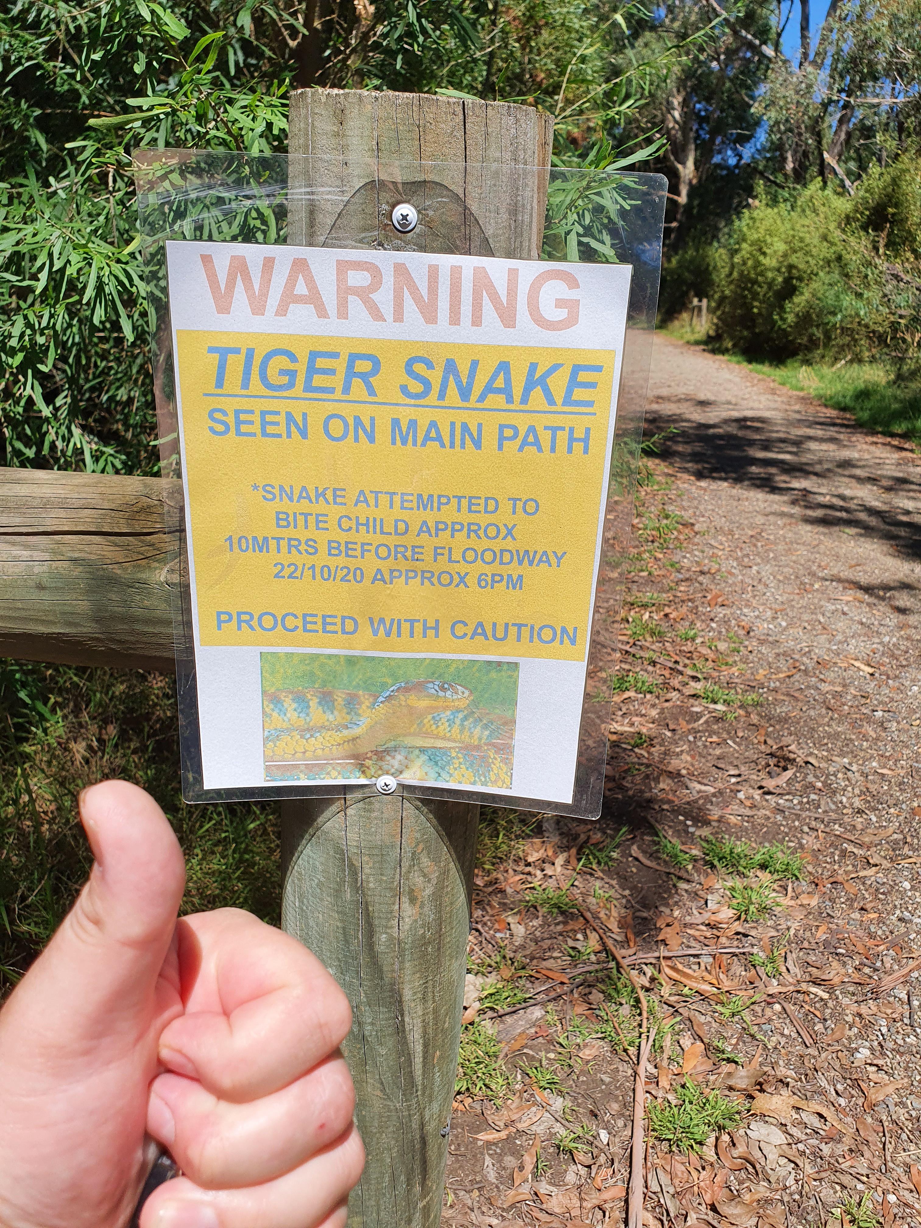 tree - Warning Tiger Snake Seen On Main Path Snake Attempted To Bite Child Approx Omtrs Before Floodway 221020 Approx Bpm Proceed With Caution