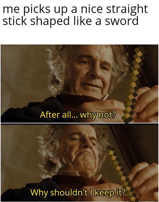 funny memes - me picks up a nice straight stick shaped a sword After all... why not? Why shouldn't I keep it?