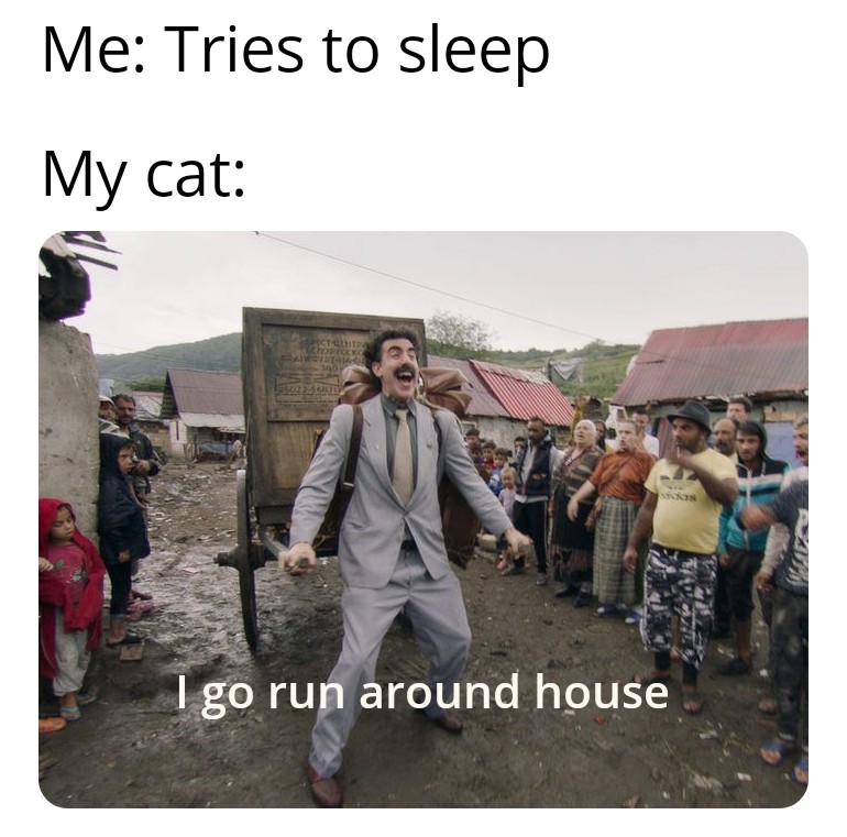 awesome pics and funny memes - kazakhstan in borat - Me Tries to sleep My cat Costo 0223 I go run around house