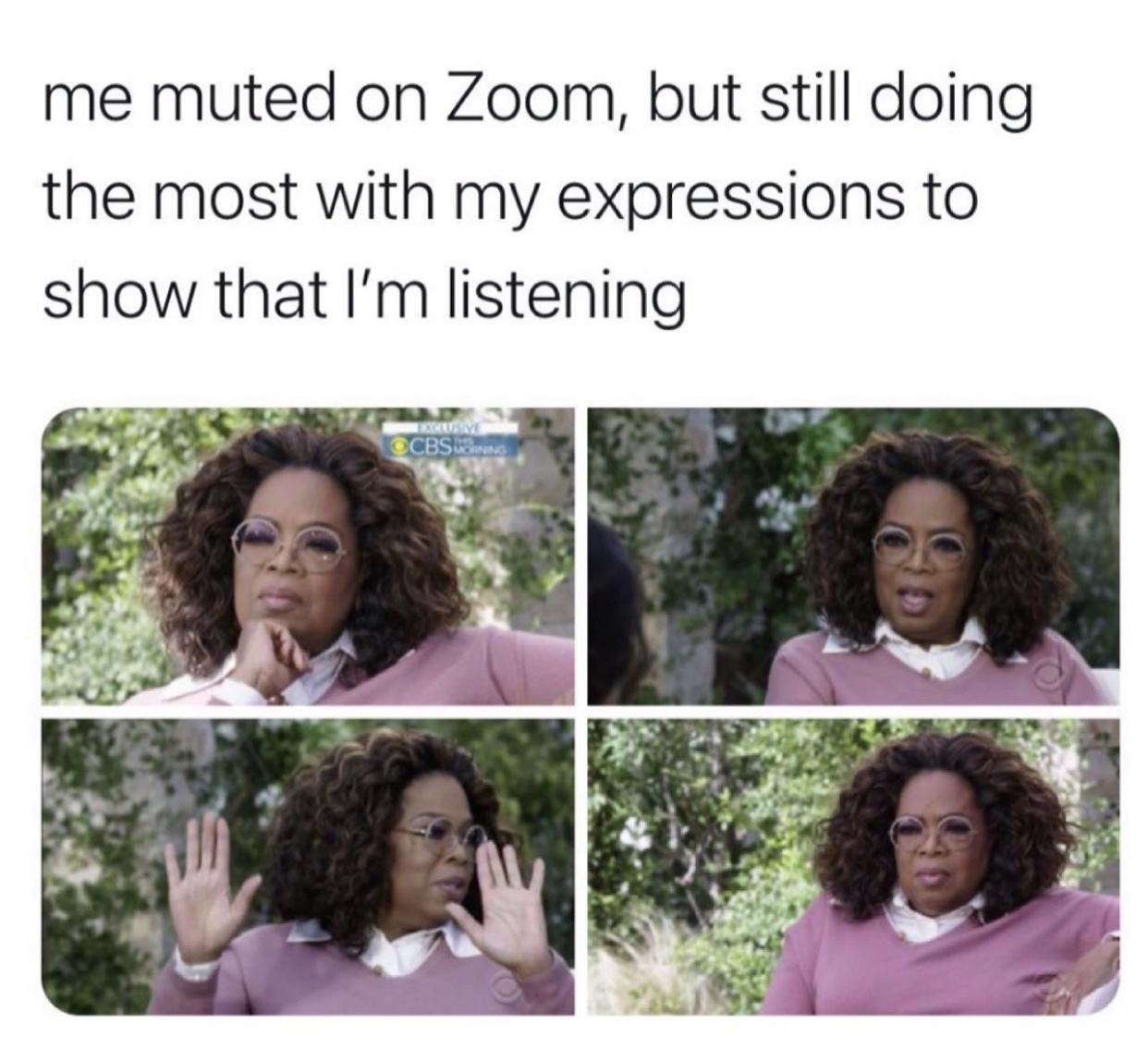 awesome pics and funny memes - human - me muted on Zoom, but still doing the most with my expressions to show that I'm listening Ocbsw