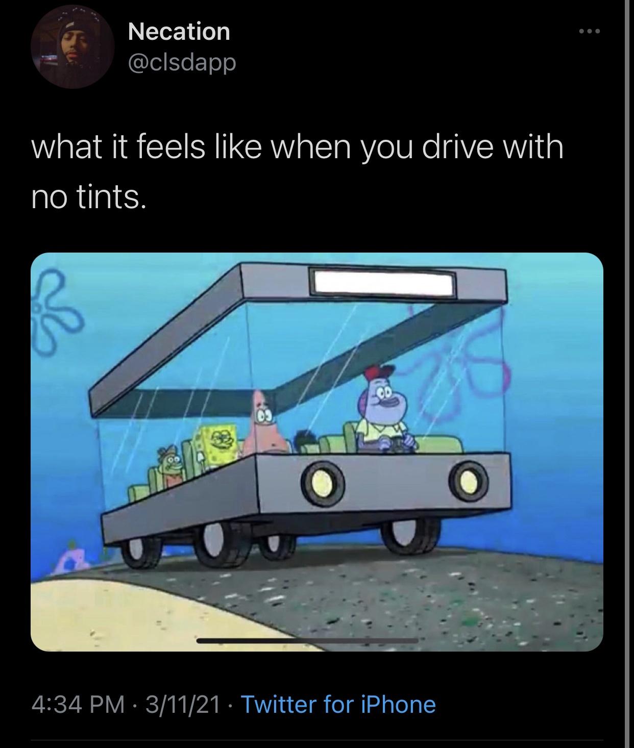 awesome pics and funny memes - screenshot - Necation what it feels when you drive with no tints. 31121 Twitter for iPhone