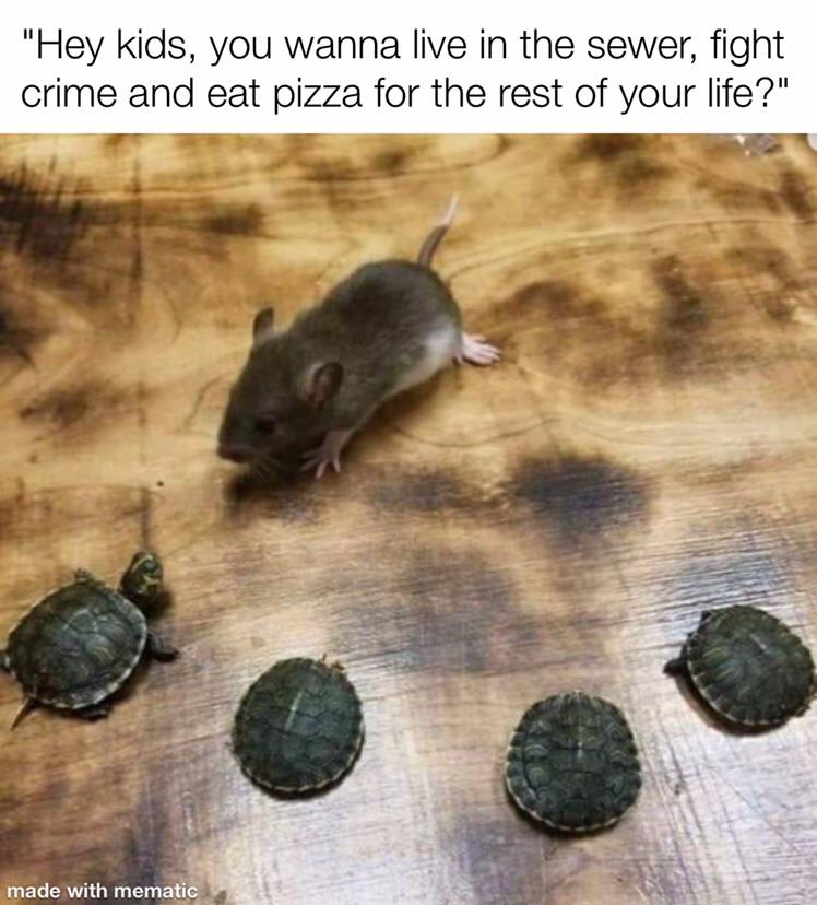 funny memes and random pics - stupid but funny memes - "Hey kids, you wanna live in the sewer, fight crime and eat pizza for the rest of your life?" made with mematic