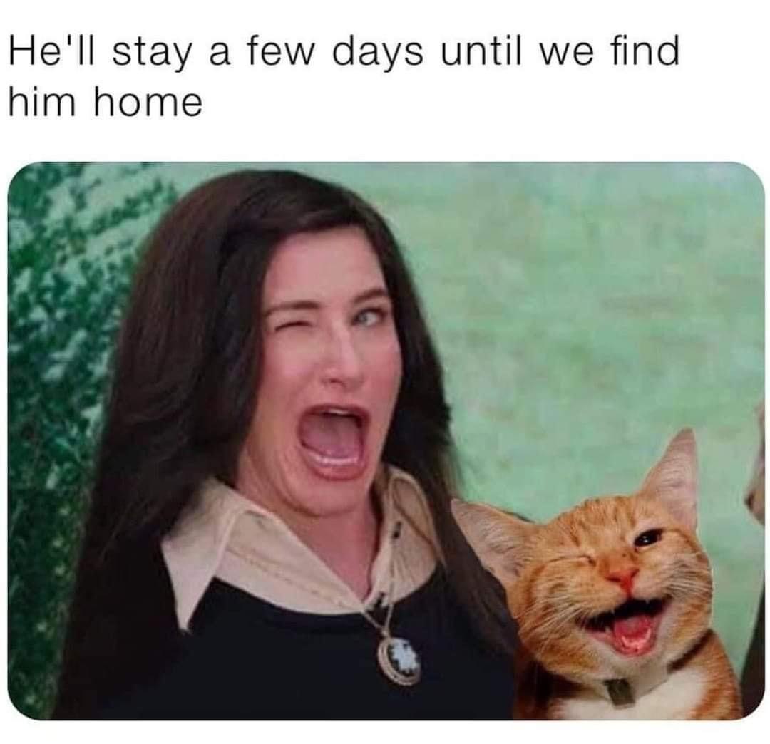 funny memes and random pics - agatha wink - He'll stay a few days until we find him home
