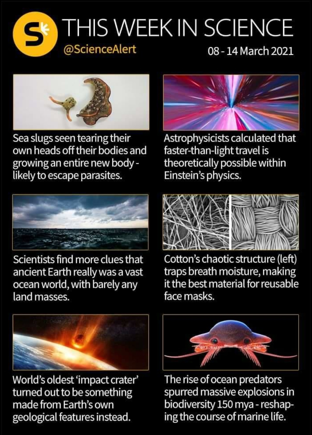 funny memes and random pics - poster - S This Week In Science 08 Sea slugs seen tearing their Astrophysicists calculated that own heads off their bodies and fasterthanlight travel is growing an entire new body theoretically possible within ly to escape pa
