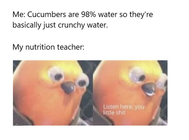 vine meme - Me Cucumbers are 98% water so they're basically just crunchy water. My nutrition teacher Listen here, you little shit