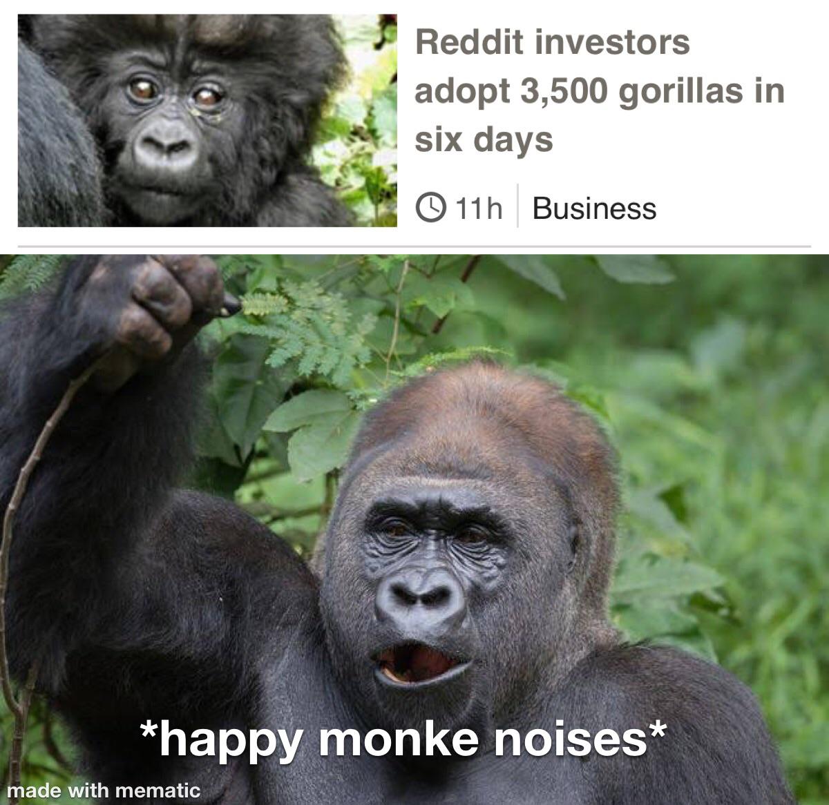 fauna - Reddit investors adopt 3,500 gorillas in six days 11h Business happy monke noises made with mematic