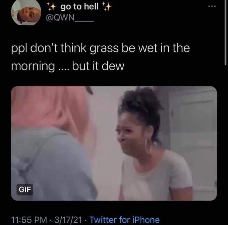 people don t think grass be wet - go to hell ppl don't think grass be wet in the morning .... but it dew Gif 31721 Twitter for iPhone
