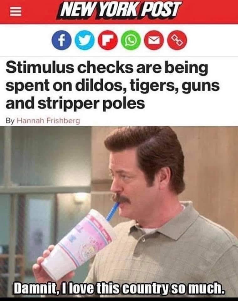 new york post - New York Post dom Stimulus checks are being spent on dildos, tigers, guns and stripper poles By Hannah Frishberg Damnit, I love this country so much.