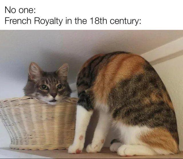 dank memes cat meme - No one French Royalty in the 18th century