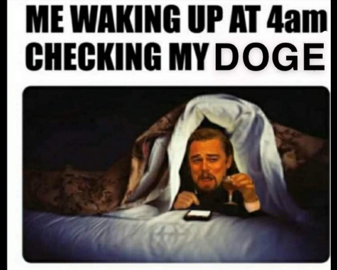 checking stocks at 4am meme - Me Waking Up At 4am Checking My Doge