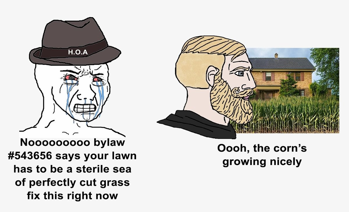 funny memes and random pics - cartoon - H.O.A Oooh, the corn's growing nicely Nooooooooo bylaw says your lawn has to be a sterile sea of perfectly cut grass fix this right now
