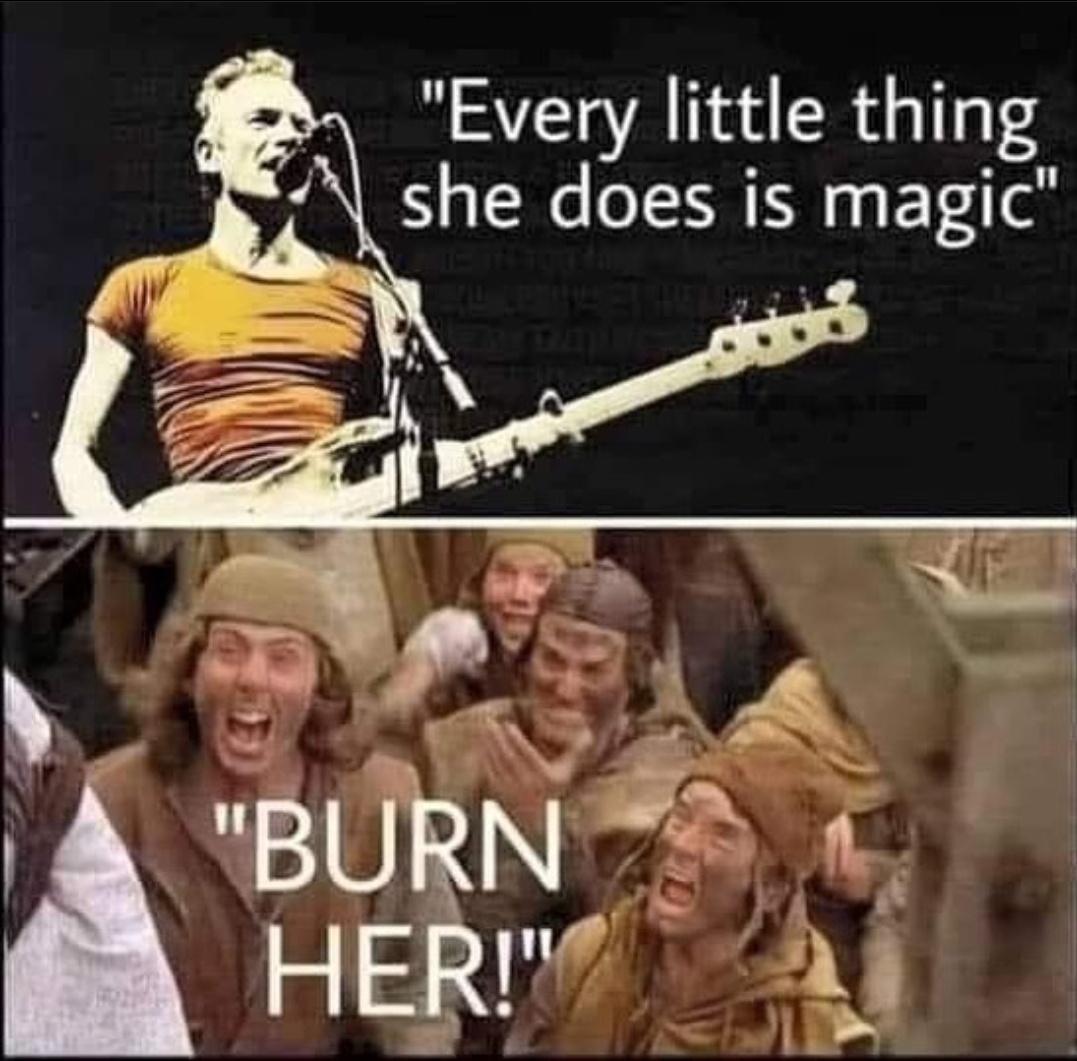 funny memes and random pics - she turned me into a newt - "Every little thing she does is magic "Burn Her!"