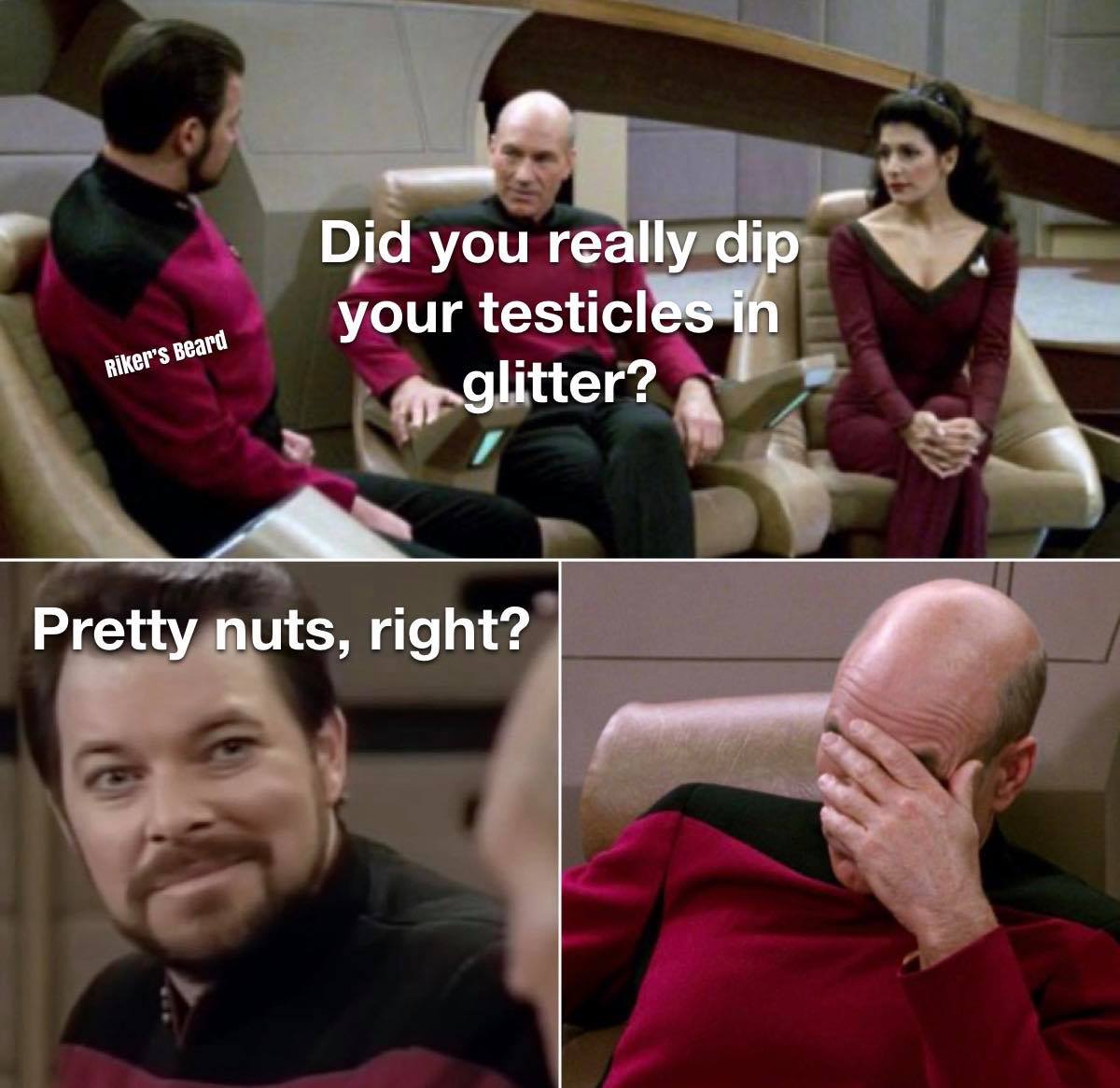funny memes and random pics - picard on the bridge - Did you really dip your testicles in glitter? Riker's Beard Pretty nuts, right?