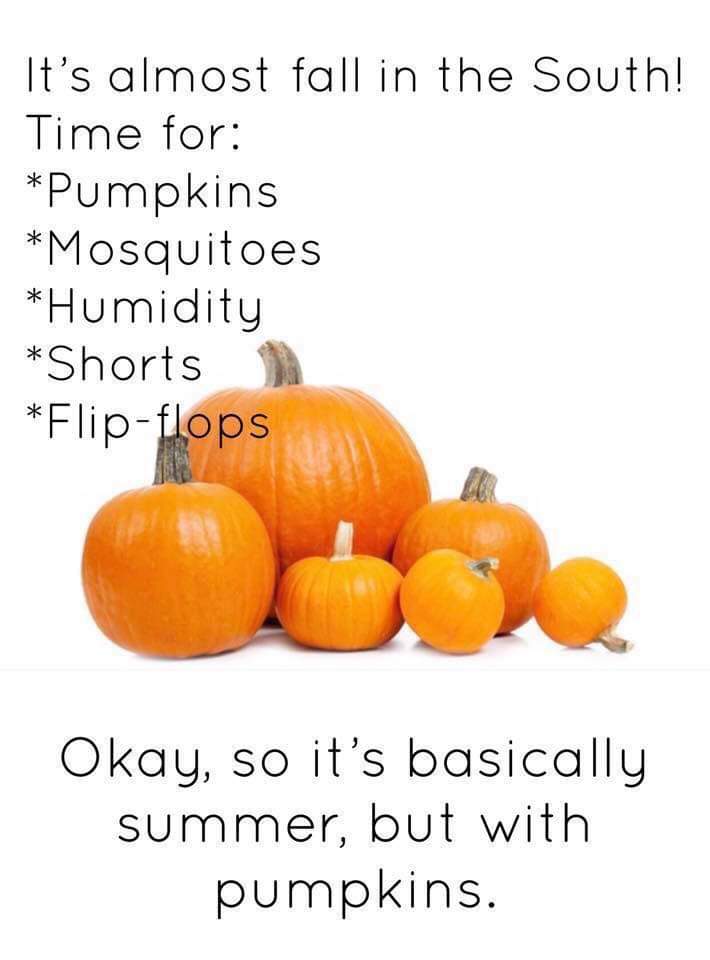 natural foods - It's almost fall in the South! Time for Pumpkins Mosquitoes Humidity Shorts Flipflops Okay, so it's basically summer, but with pumpkins.