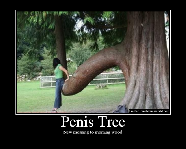 New meaning to morning wood