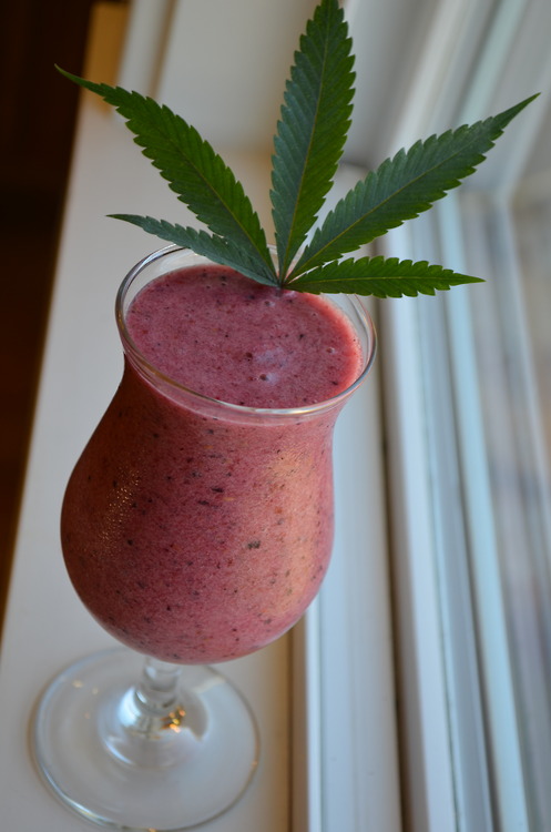 thc smoothie...will get you fucked up