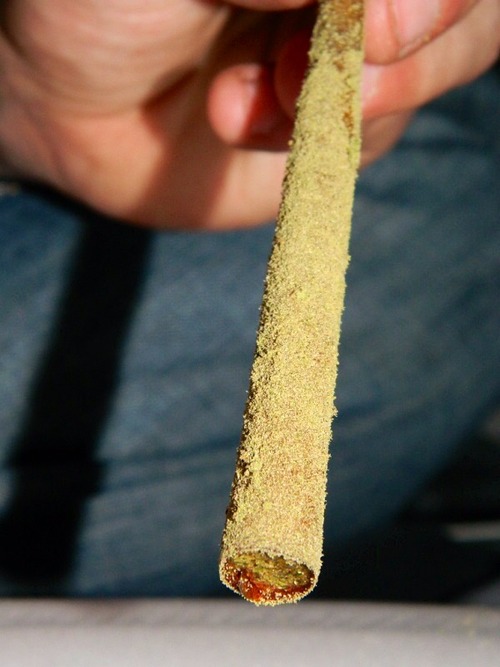 blunt dipped in wax sprinkled with kief