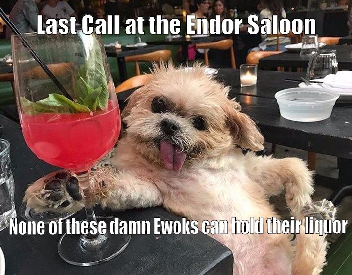 Ewoks can't hold their booze