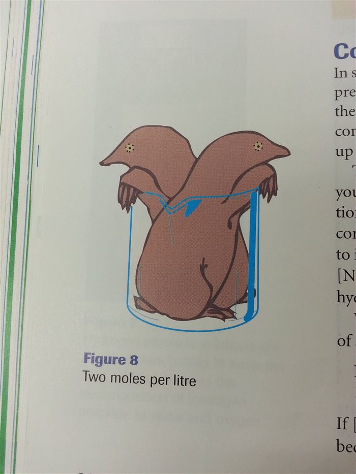 two moles per litre - Ins pre the cor up Figure 8 Two moles per litre bec