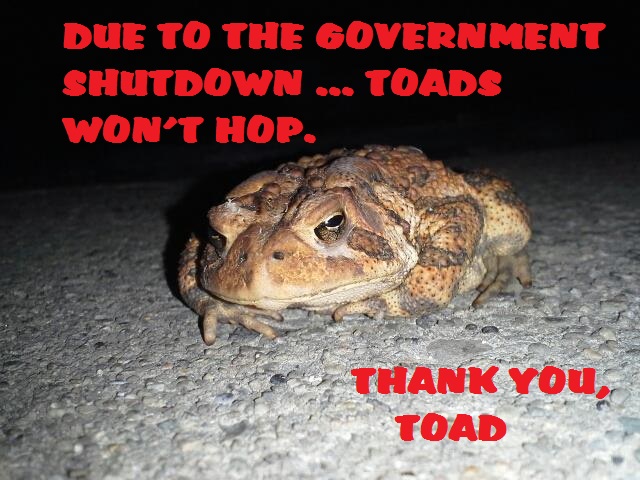 Due to the government shutdown , toads won't hop, 
Thank You,
Toad