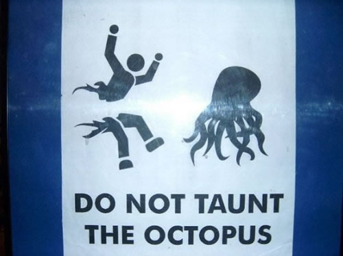 Do not taunt the Octopus for god sake i gotta put up a damn sign
