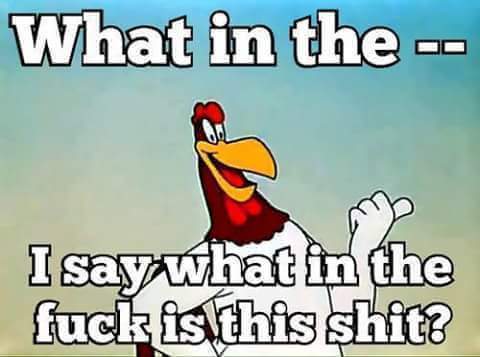 foghorn leghorn meme - What in the I say what in the fuck is this shit?