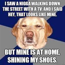 racist dog meme - I Saw A Nigga Walking Down The Street With A Tv, And I Said Hey, That Looks Mine. But Mine Is At Home, Shining My Shoes.