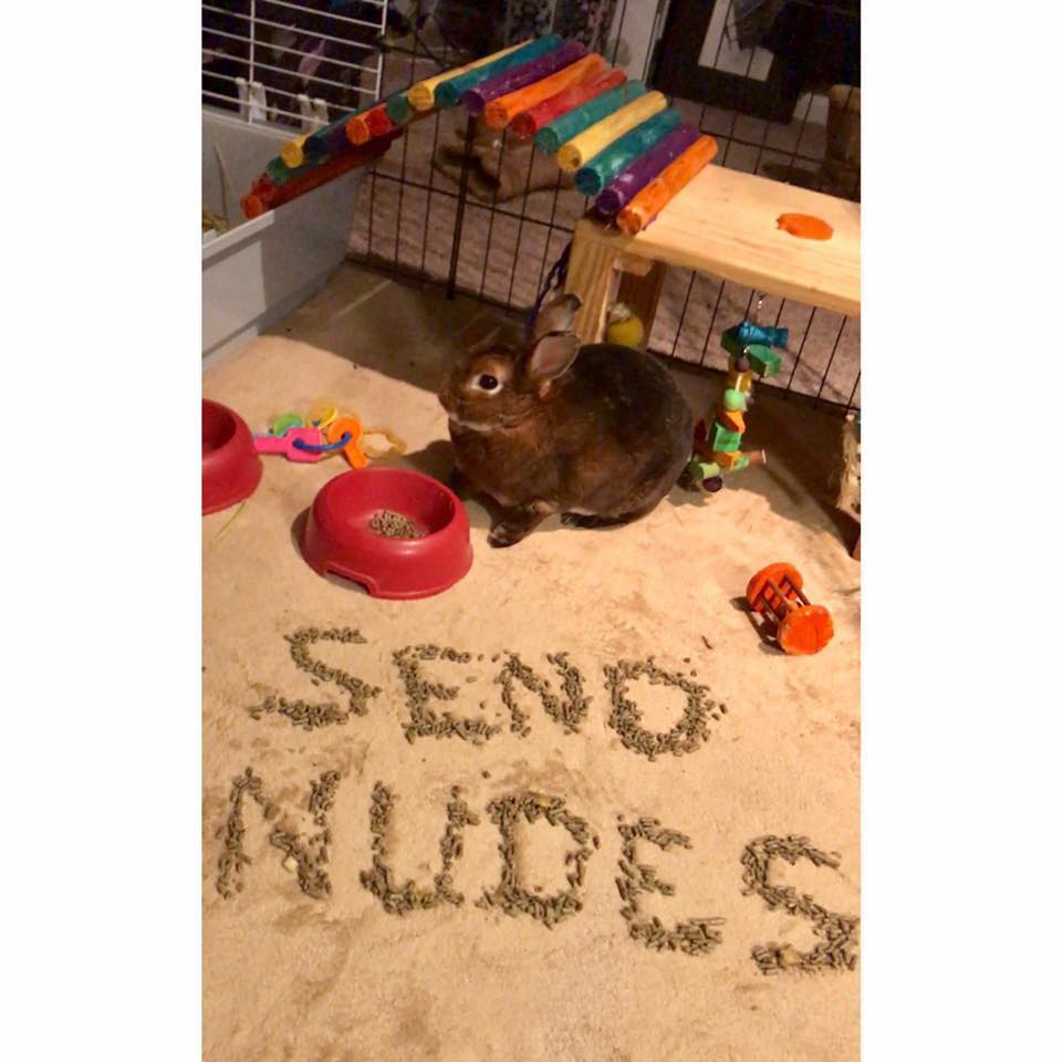 play - Send Nudes