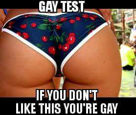rompe - Gay Test If You Don'T This You'Re Gay