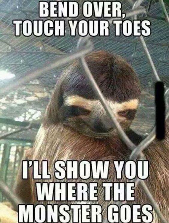 funny sloth - Bend Over.7 Touch Your Toes I'Ll Show You Where The Monster Goes