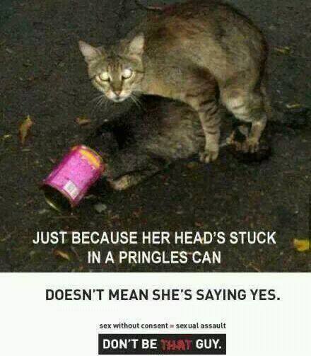 advantage funny - Just Because Her Head'S Stuck In A Pringles Can Doesn'T Mean She'S Saying Yes. sex without consent sexual assault Don'T Be That Guy.