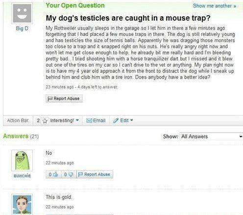 my dog's testicles are stuck in a mousetrap - Big D Your Open Question Show me another My dog's testicles are caught in a mouse trap? My Rottweiler usually sleeps in the garage so I let him in there a few minutes ago forgetting that I had placed a few mou