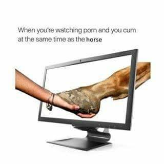 you re watching porn and you cum - When you're watching porn and you cum at the same time as the horse