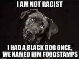 did i just watch - I Am Not Racist I Had A Black Dog Once, We Named Him Foodstamps