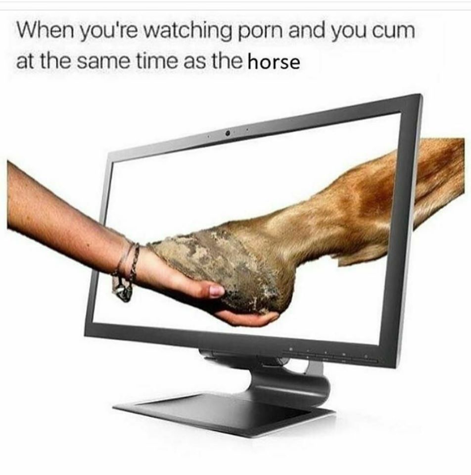 you cum at the same time - When you're watching porn and you cum at the same time as the horse