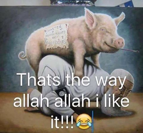 fuck islam - Charter Arts Thats the way allah allah i