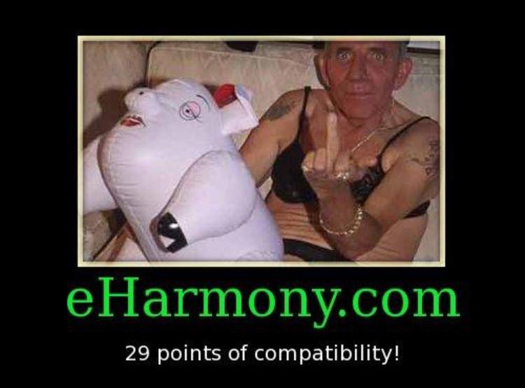 photo caption - eHarmony.com 29 points of compatibility!