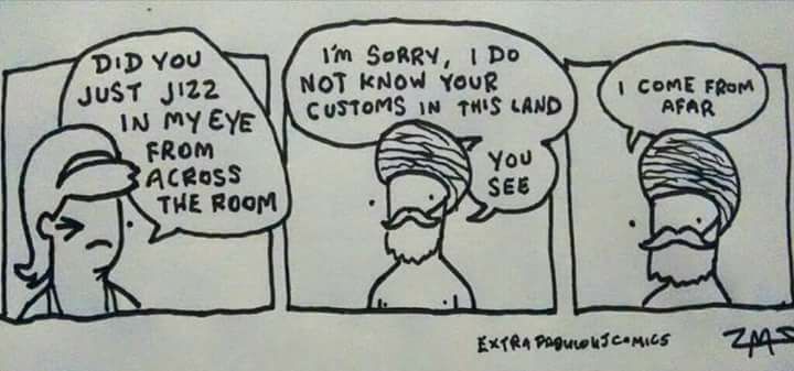 come from afar - I'M Sorry, I Do Not Know Your Customs In This Land I Come From Afar Did You Just JI22 In My Eye From Sacross The Room You See Extra Pagulok Sc.Mics