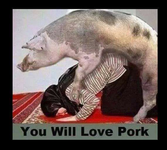 photo caption - You Will Love Pork