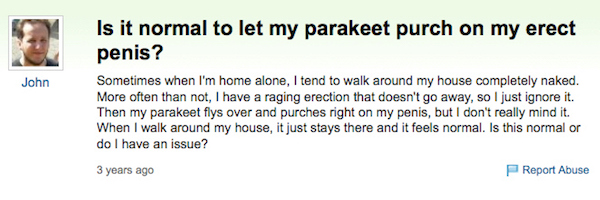 will make you erect - Is it normal to let my parakeet purch on my erect penis? John Sometimes when I'm home alone, I tend to walk around my house completely naked. More often than not, I have a raging erection that doesn't go away, so I just ignore it. Th