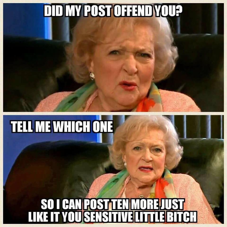 did my post offend you - Did My Post Offend You? Tell Me Which One So I Can Post Ten More Just It You Sensitive Little Bitch