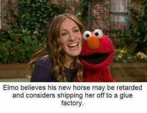 glue factory memes - Elmo believes his new horse may be retarded and considers shipping her off to a glue factory.