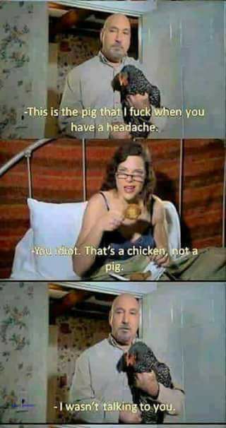 dark humor memes - This is the pig that I fuck when you have a headache. You idist. That's a chicken, inot a pig. I wasn't talking to you.